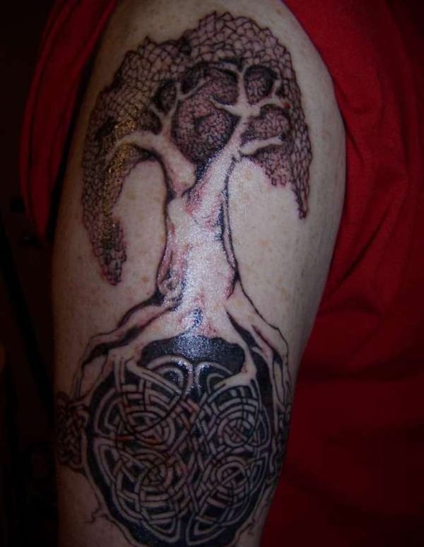Lovely Tree Celtic Shoulder Tattoo
