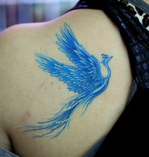 Nice Blue Phoenix On Shoulder