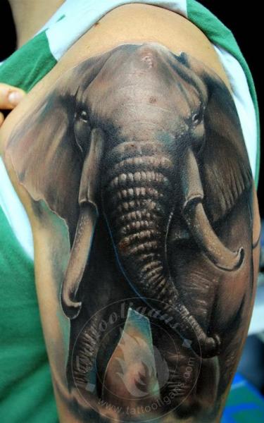Realistic Elephant Tattoo On Shoulder !