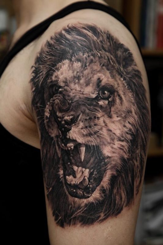 Realistic Lion Tattoo On Shoulder