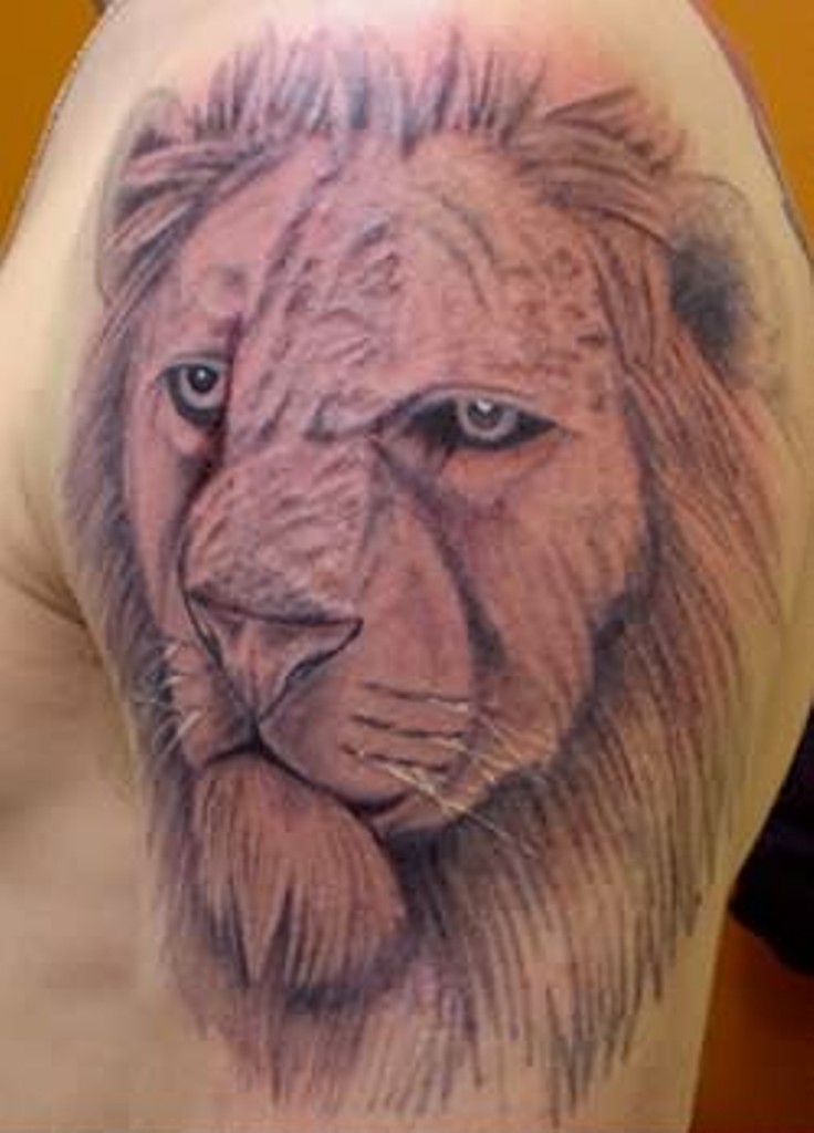 83 Lovely Lion Shoulder Tattoos.