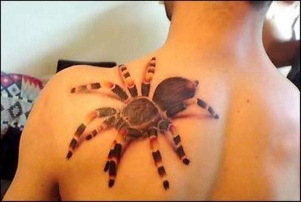 Spider Tattoo On Back Shoulder
