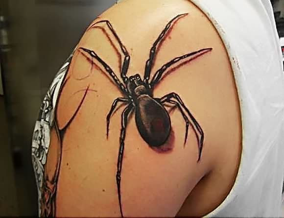 Spider Tattoo