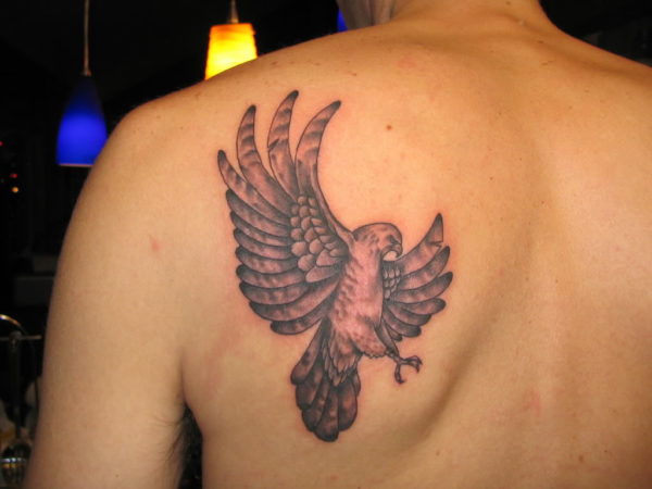 Stunning Hawk Tattoo