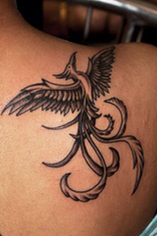 Stylish  Phoenix Tattoo
