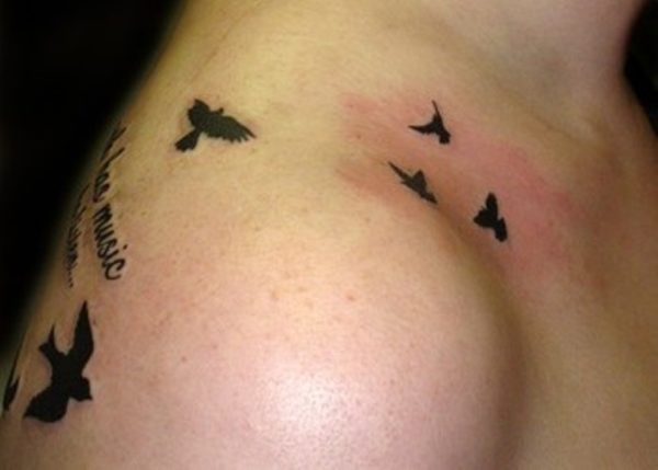 Sweet Dove Tattoo