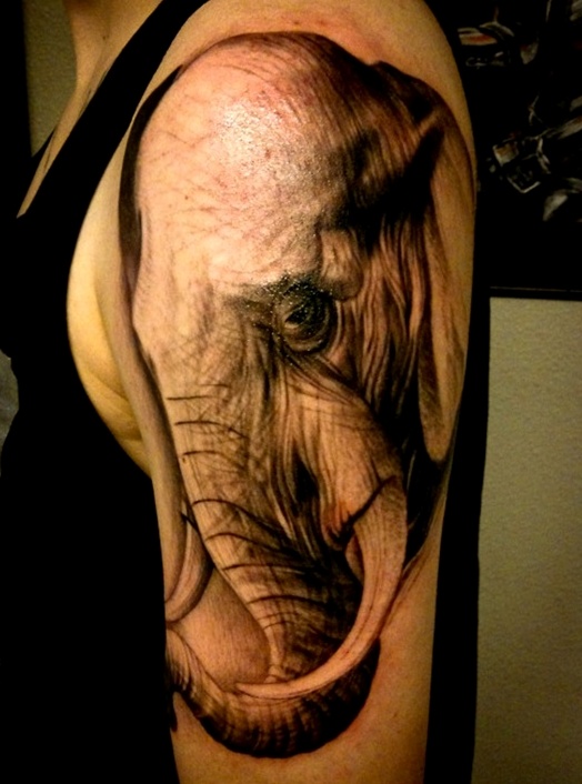 Sweet Elephant Tattoo On Shoulder