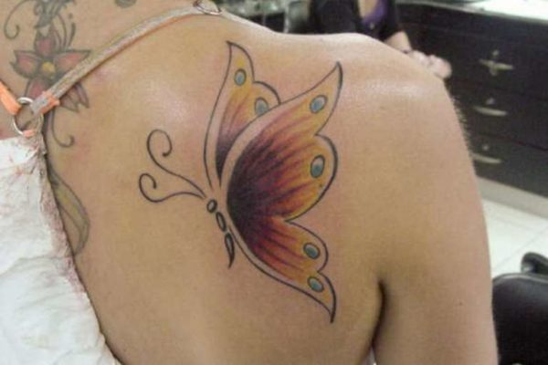 Sweet Stunning Butterfly On Shoulder