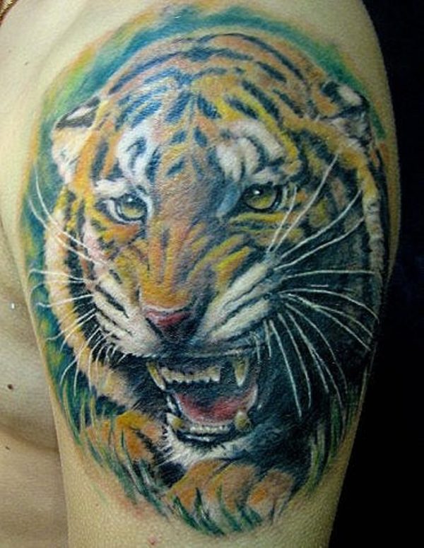Tiger Face Tattoo Design