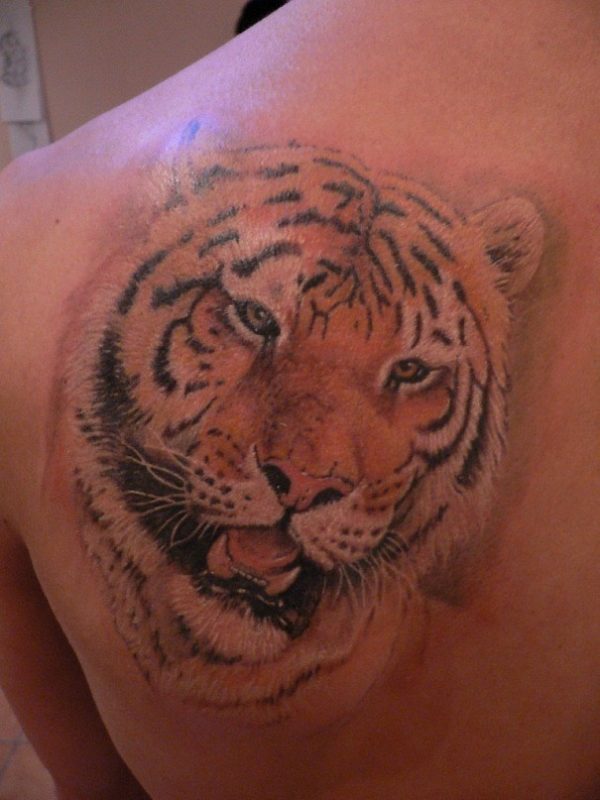 Tiger Head Tattoo