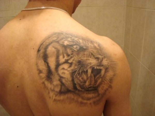 Tiger Tattoo On Blade Shoulder