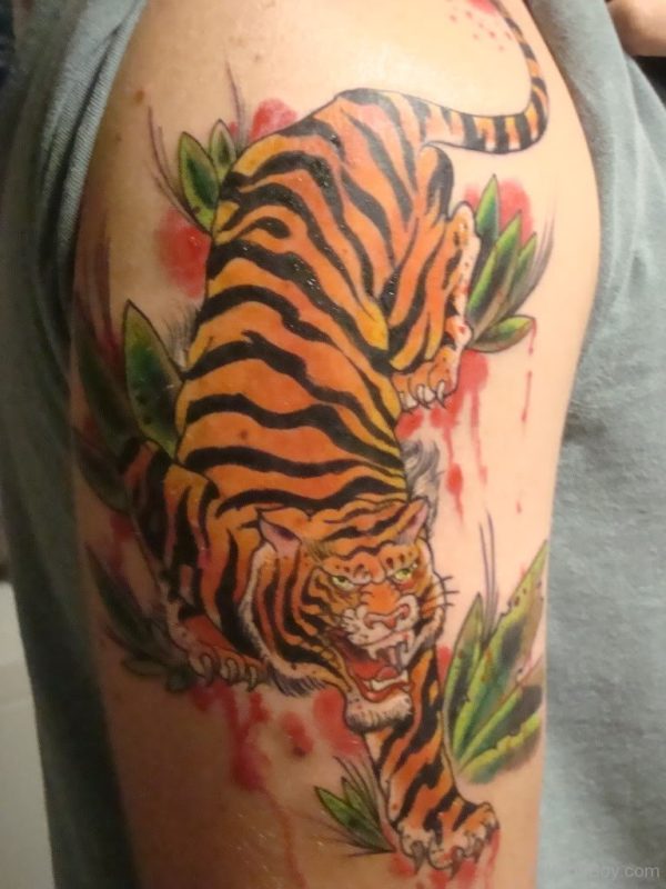 Tiger Tattoo On Right Shoulder