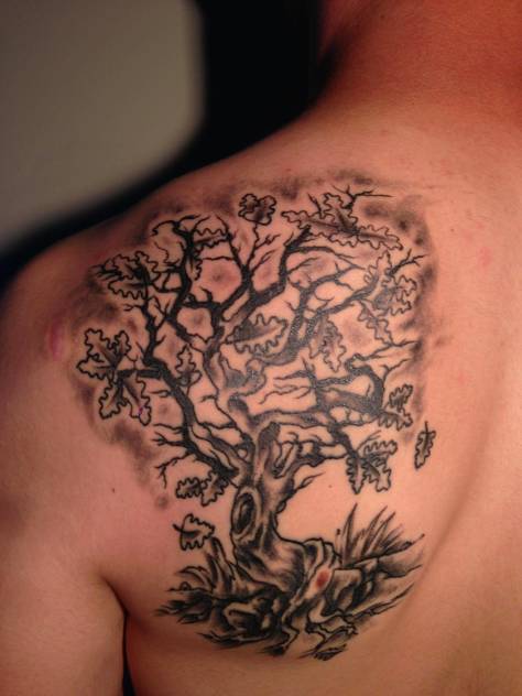 Tree Tattoo On Left Back Shoulder
