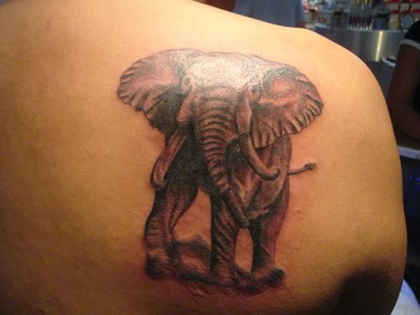 Wild Elephant Tattoo