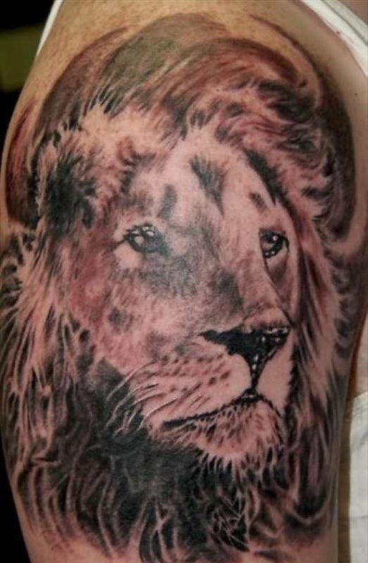 Wonderful Lion Shoulder Tattoo Design