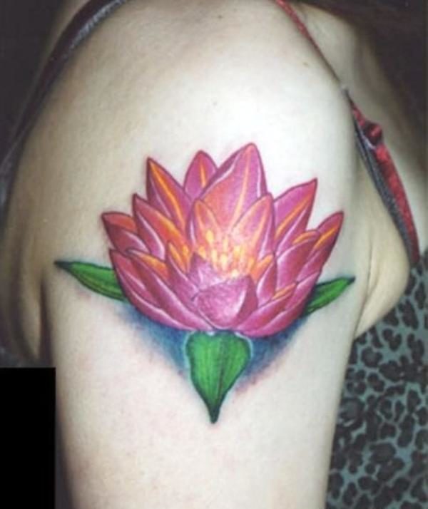 Wonderful Lotus Flower