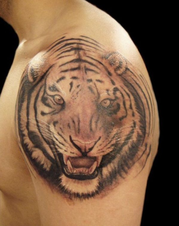 Wonderful Tiger Tattoo