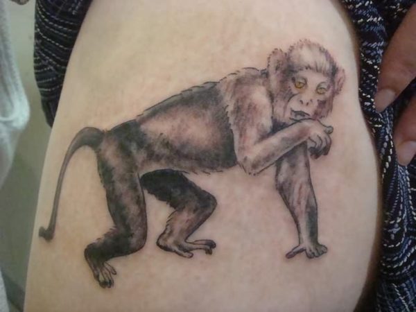 Grey Monkey Tattoo On Shoulder