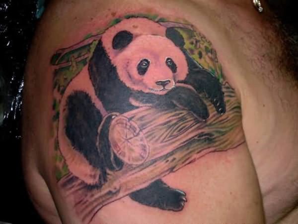 Panda In Wood Shoulder Tattoo